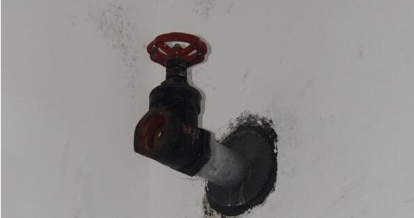 1663755766488248.jpg 3.jpg